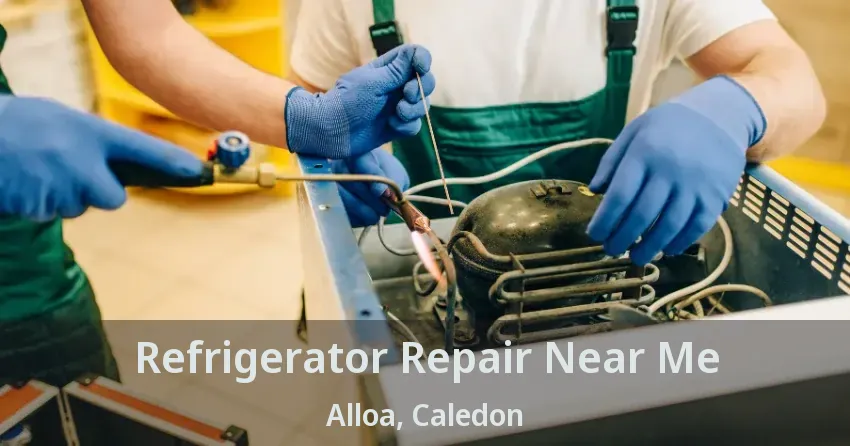 Refrigerator Repair Near Me Alloa, Caledon - ON