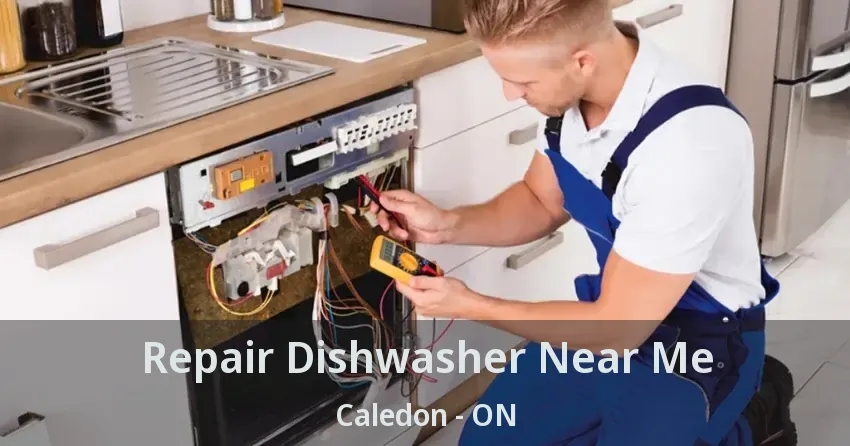 Repair Dishwasher Near Me Caledon - ON
