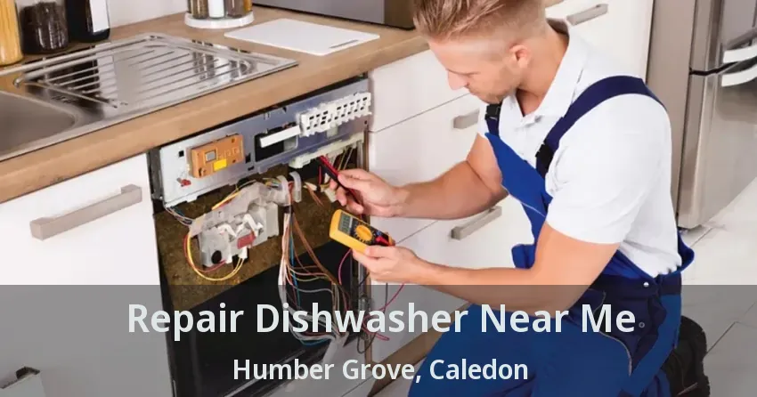 Repair Dishwasher Near Me Humber Grove, Caledon - ON