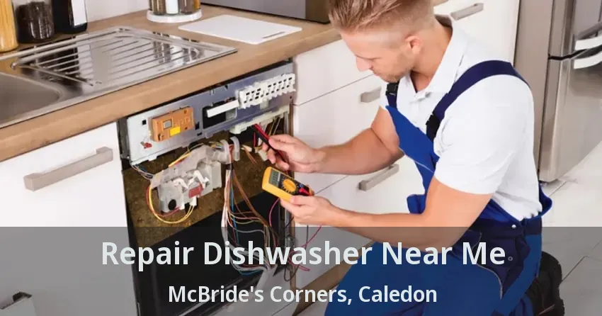 Repair Dishwasher Near Me McBride's Corners, Caledon - ON