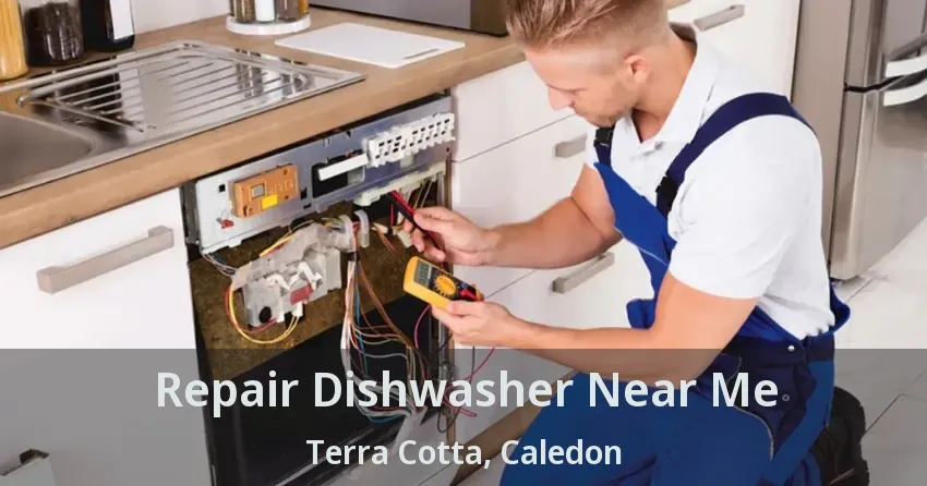 Repair Dishwasher Near Me Terra Cotta, Caledon - ON