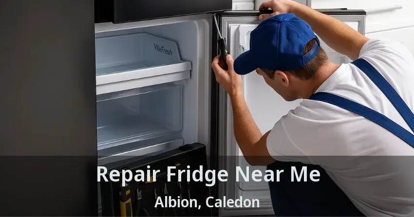 Repair Fridge Near Me Albion, Caledon - ON