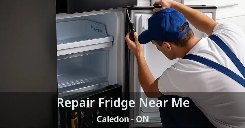 Repair Fridge Near Me Caledon - ON