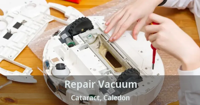 Repair Vacuum Cataract, Caledon - ON