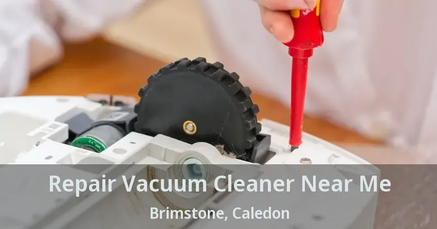 Repair Vacuum Cleaner Near Me Brimstone, Caledon - ON