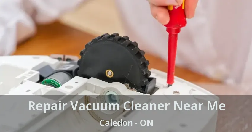 Repair Vacuum Cleaner Near Me Caledon - ON