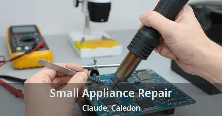 Small Appliance Repair Claude, Caledon - ON