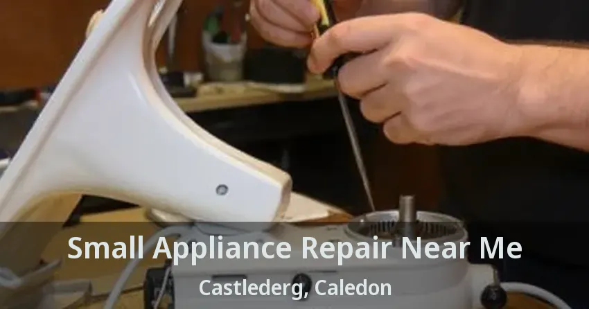 Small Appliance Repair Near Me Castlederg, Caledon - ON