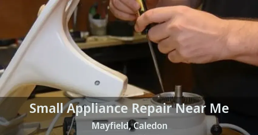 Small Appliance Repair Near Me Mayfield, Caledon - ON