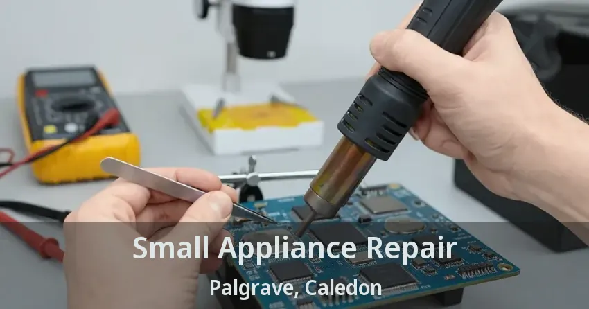 Small Appliance Repair Palgrave, Caledon - ON