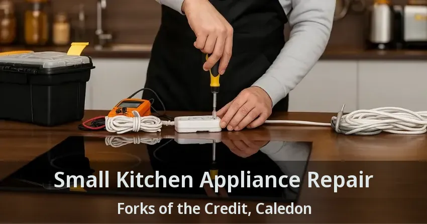Small Kitchen Appliance Repair Forks of the Credit, Caledon - ON