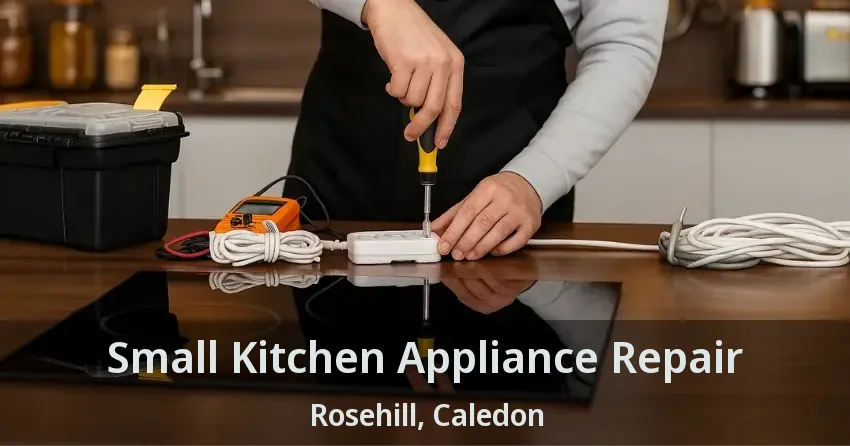 Small Kitchen Appliance Repair Rosehill, Caledon - ON