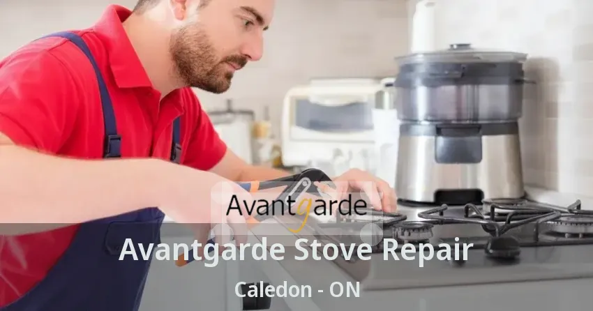 Avantgarde Stove Repair Caledon - ON