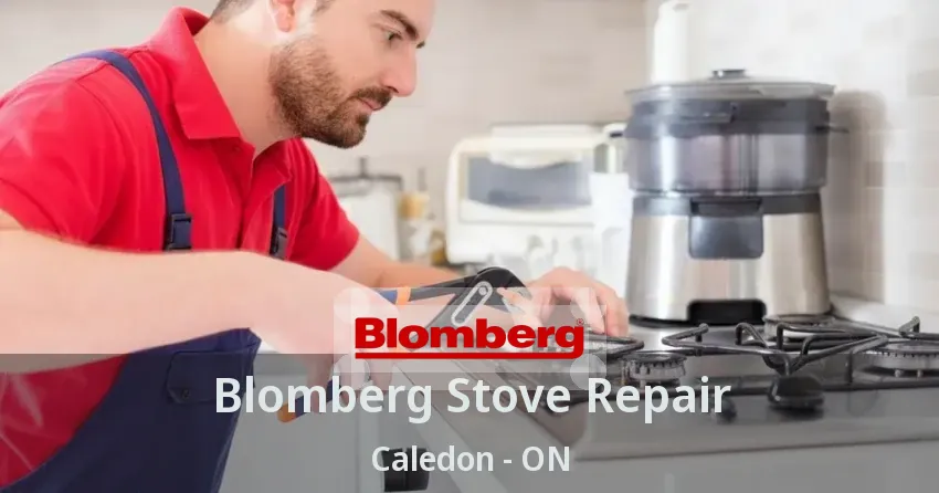Blomberg Stove Repair Caledon - ON