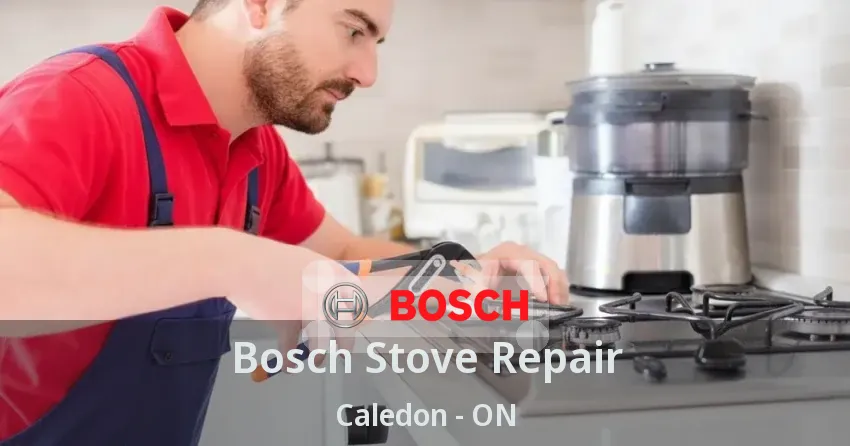 Bosch Stove Repair Caledon - ON