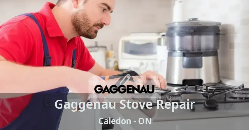 Gaggenau Stove Repair Caledon - ON