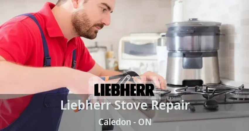 Liebherr Stove Repair Caledon - ON