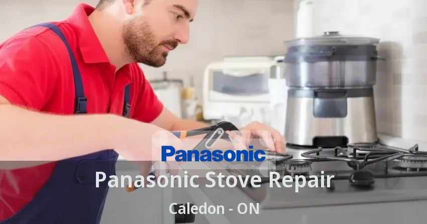 Panasonic Stove Repair Caledon - ON