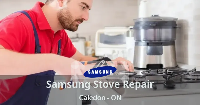 Samsung Stove Repair Caledon - ON