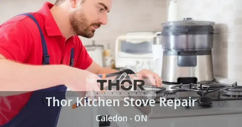 Thor Kitchen Stove Repair Caledon - ON