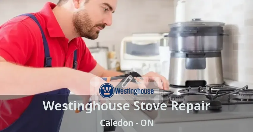 Westinghouse Stove Repair Caledon - ON