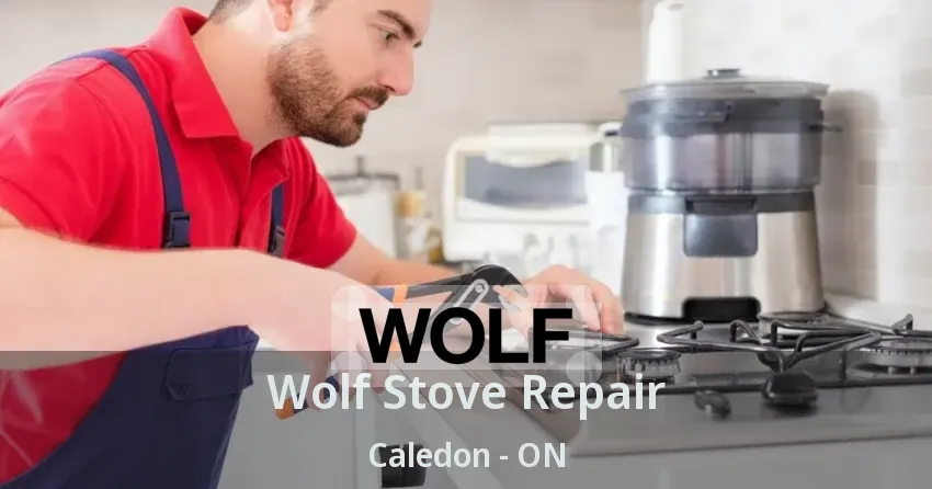 Wolf Stove Repair Caledon - ON