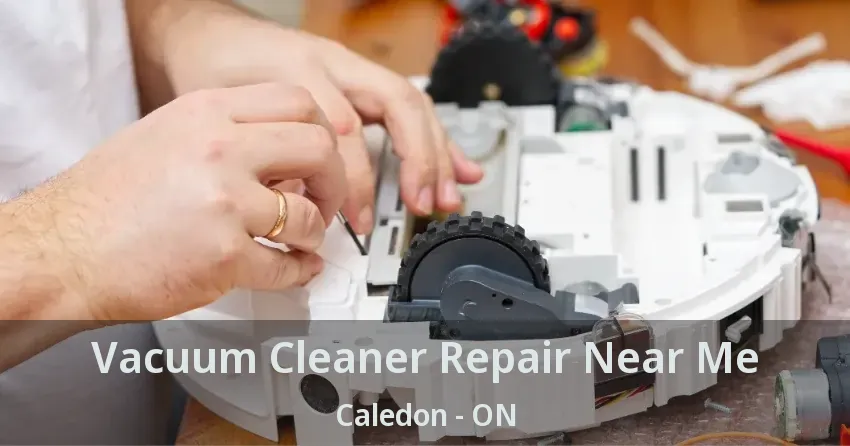 Vacuum Cleaner Repair Near Me Caledon - ON