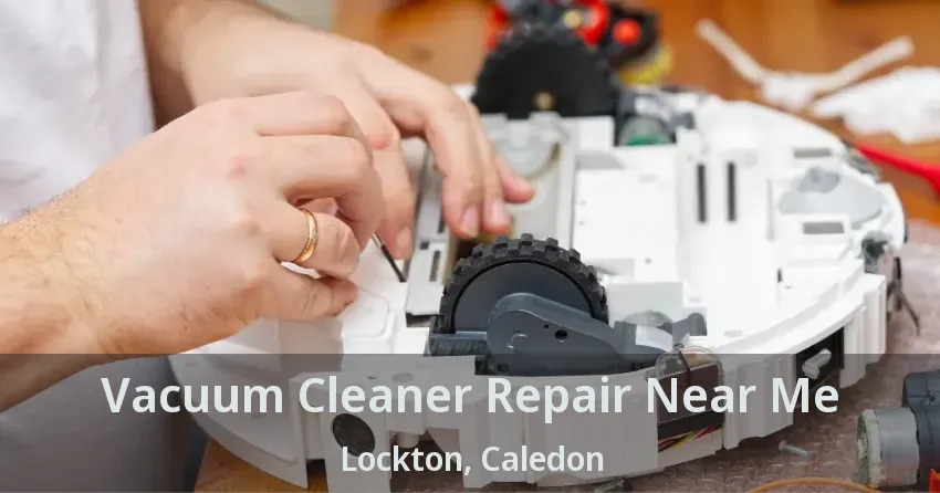 Vacuum Cleaner Repair Near Me Lockton, Caledon - ON