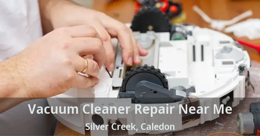 Vacuum Cleaner Repair Near Me Silver Creek, Caledon - ON