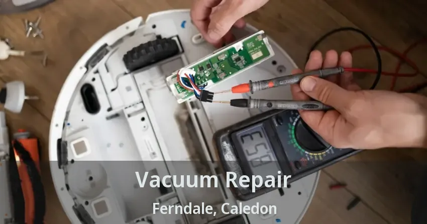 Vacuum Repair Ferndale, Caledon - ON