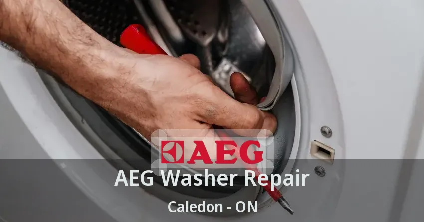 AEG Washer Repair Caledon - ON