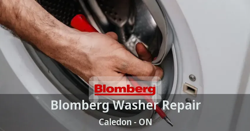 Blomberg Washer Repair Caledon - ON