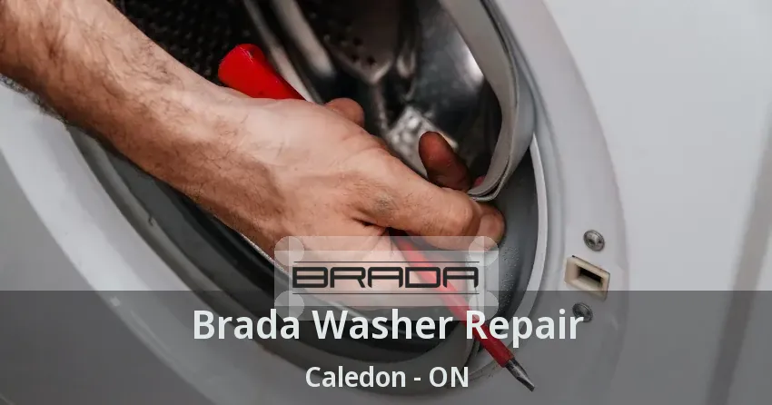 Brada Washer Repair Caledon - ON