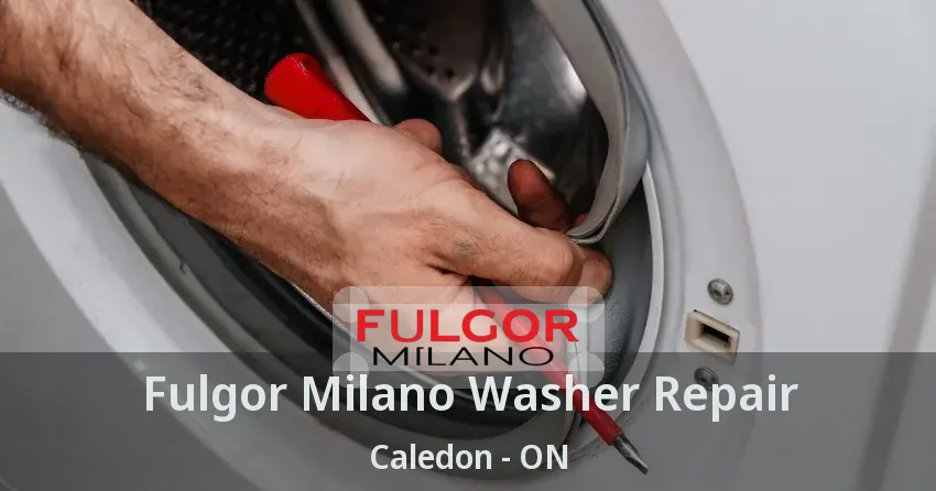 Fulgor Milano Washer Repair Caledon - ON