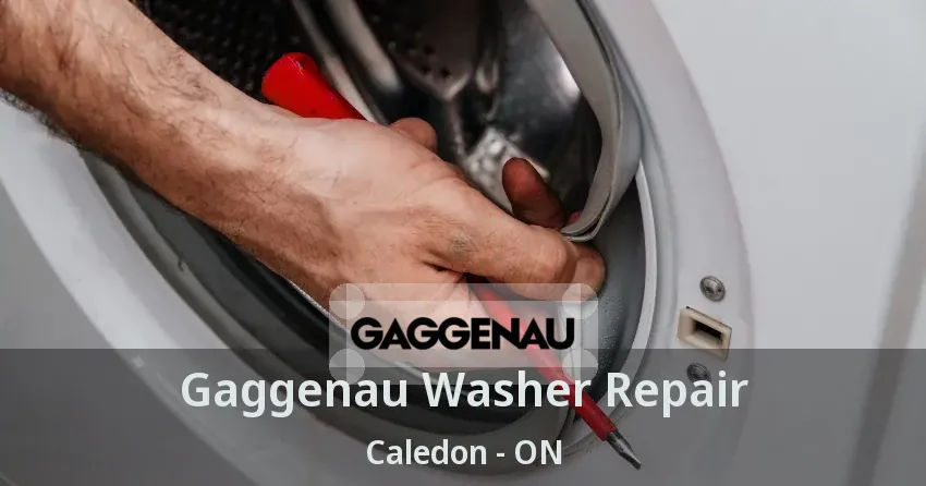 Gaggenau Washer Repair Caledon - ON