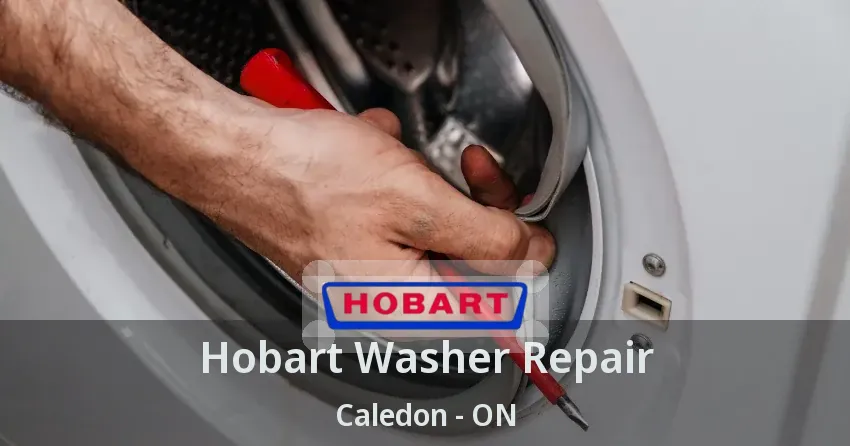 Hobart Washer Repair Caledon - ON