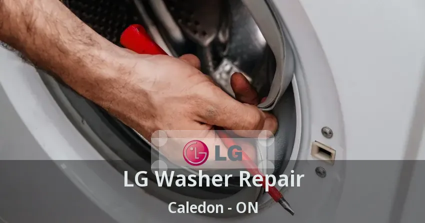 LG Washer Repair Caledon - ON