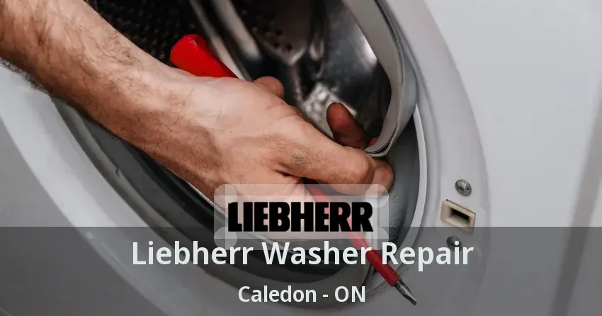 Liebherr Washer Repair Caledon - ON