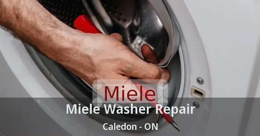 Miele Washer Repair Caledon - ON