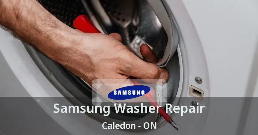 Samsung Washer Repair Caledon - ON