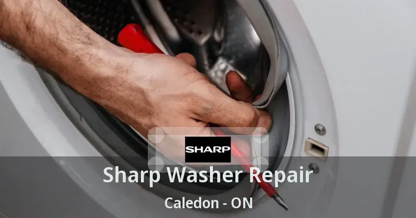 Sharp Washer Repair Caledon - ON