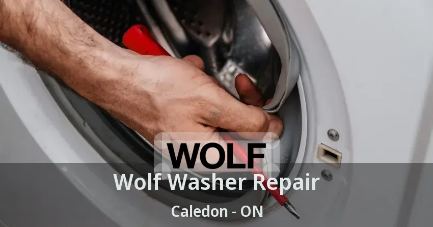 Wolf Washer Repair Caledon - ON
