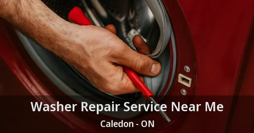 Washer Repair Service Near Me Caledon - ON